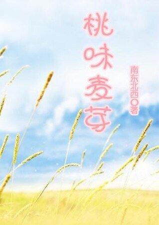桃味麦芽（网络版）